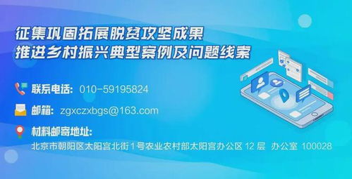 云南彌渡縣 教育與產業齊飛,科技與創新共舞